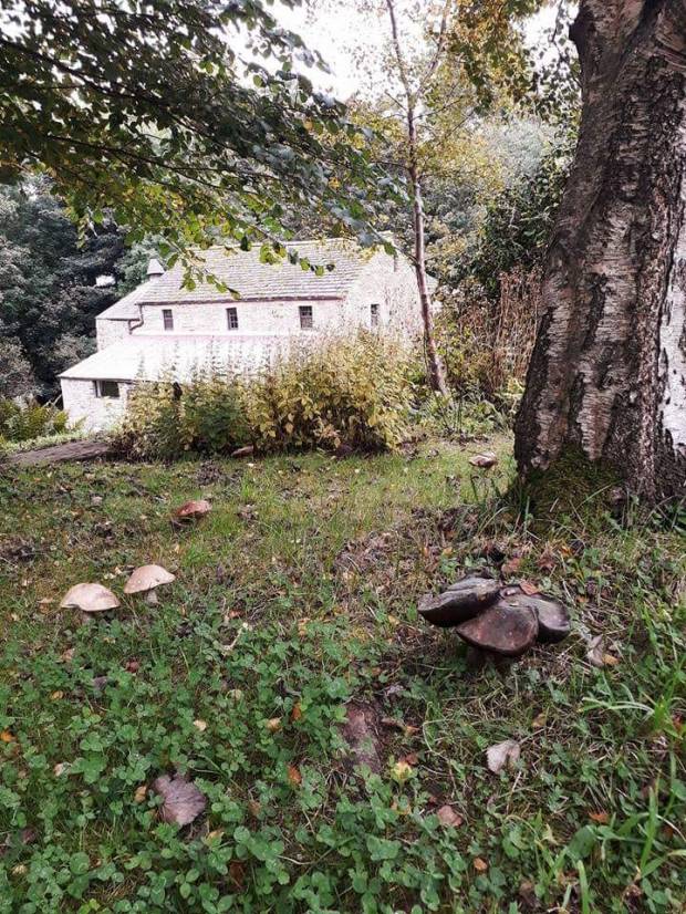 45315478_10210131869851867_4110033451707531264_n